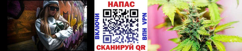 Купить наркотик аптеки Дальнереченск СОЛЬ  Галлюциногенные грибы  ОМГ ОМГ зеркало  Конопля  ГАШ  КОКАИН  МЕФ 